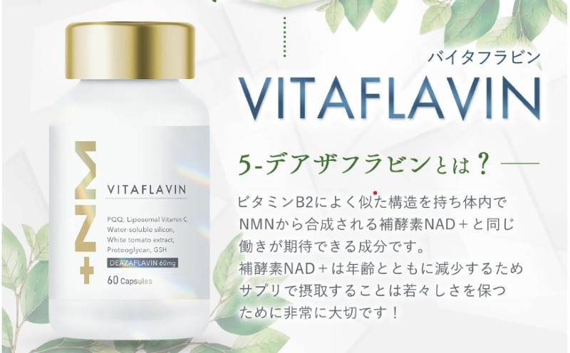 【解説】バイタフラビン(VITAFLAVIN)とNMNの決定的な違い情報サイト